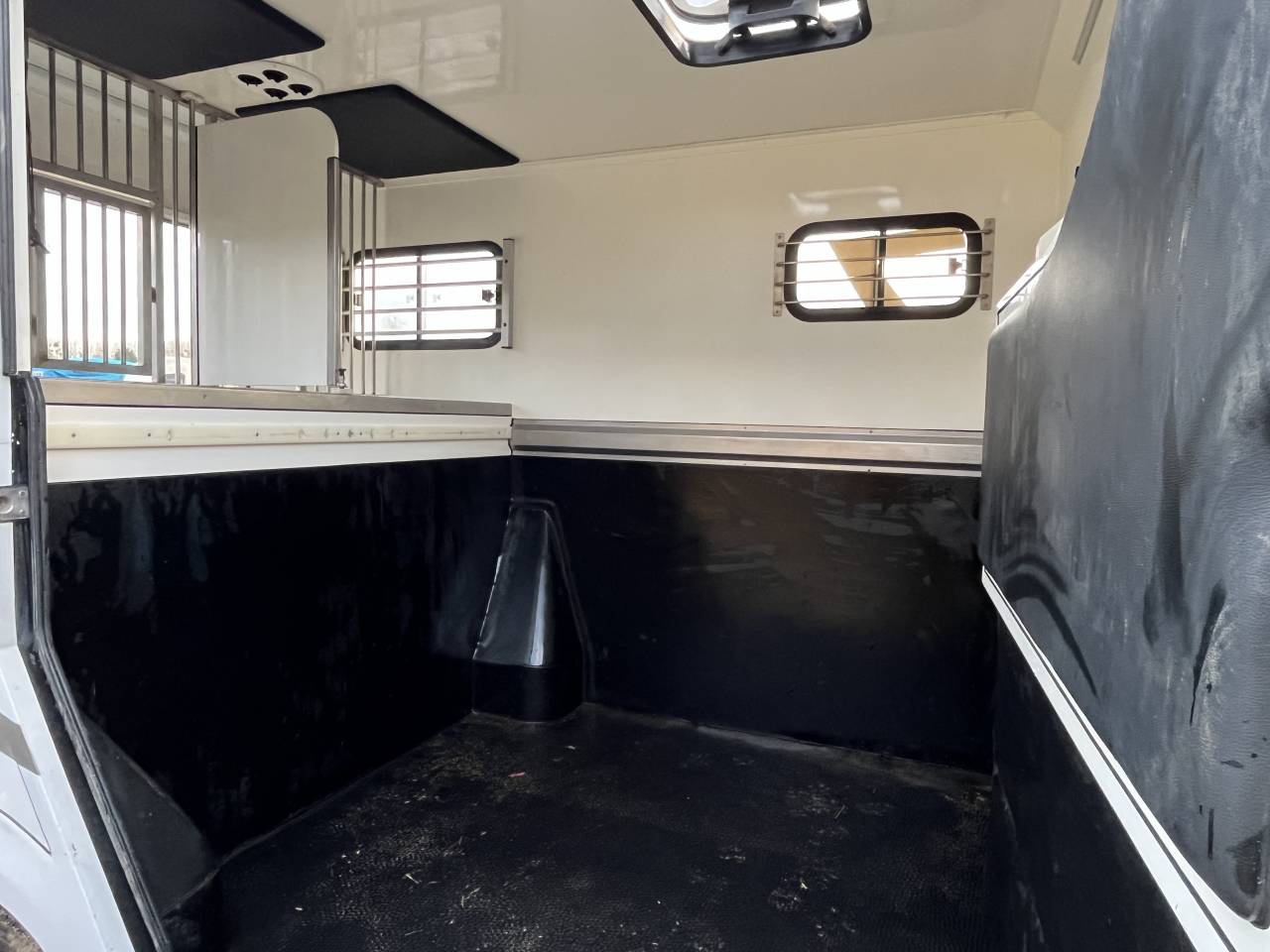 Van per Cavalli Ameline Master 3  2021 Occasione