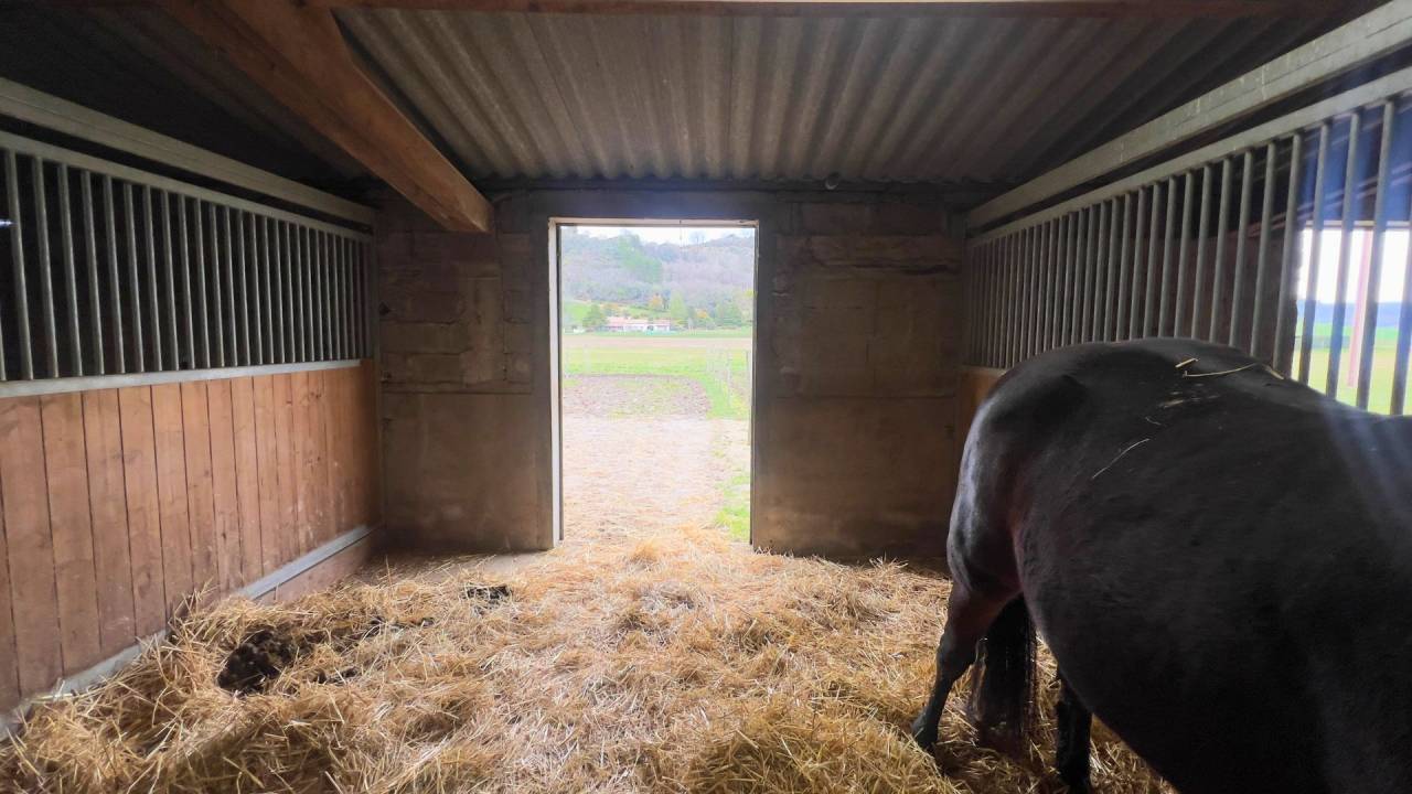 Propriet&agrave; equestre In vendita Tarn-et-Garonne