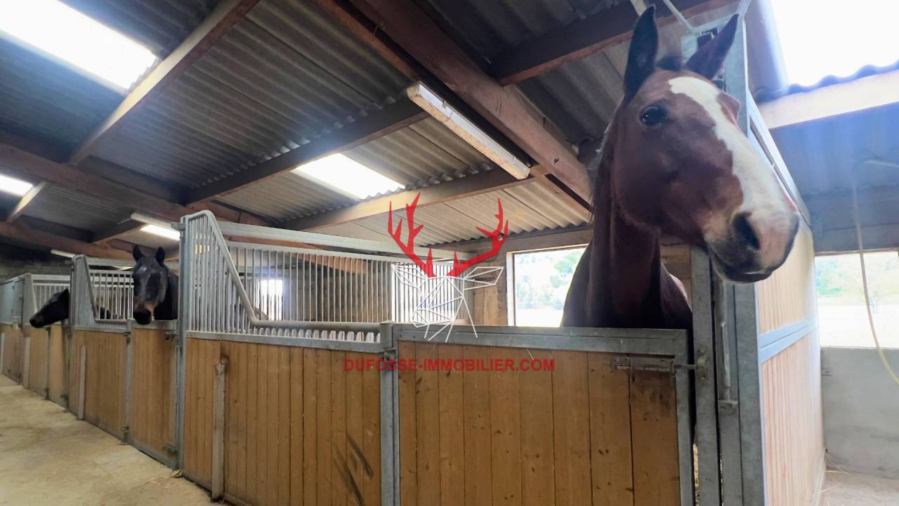 Propriet&agrave; equestre In vendita Tarn-et-Garonne