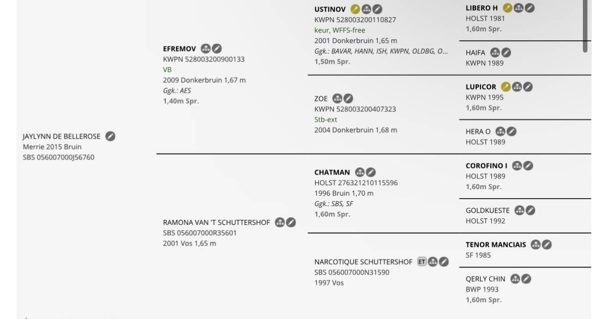 Cavalla sBs Cavallo da Sport Belgio In vendita 2015 Baio