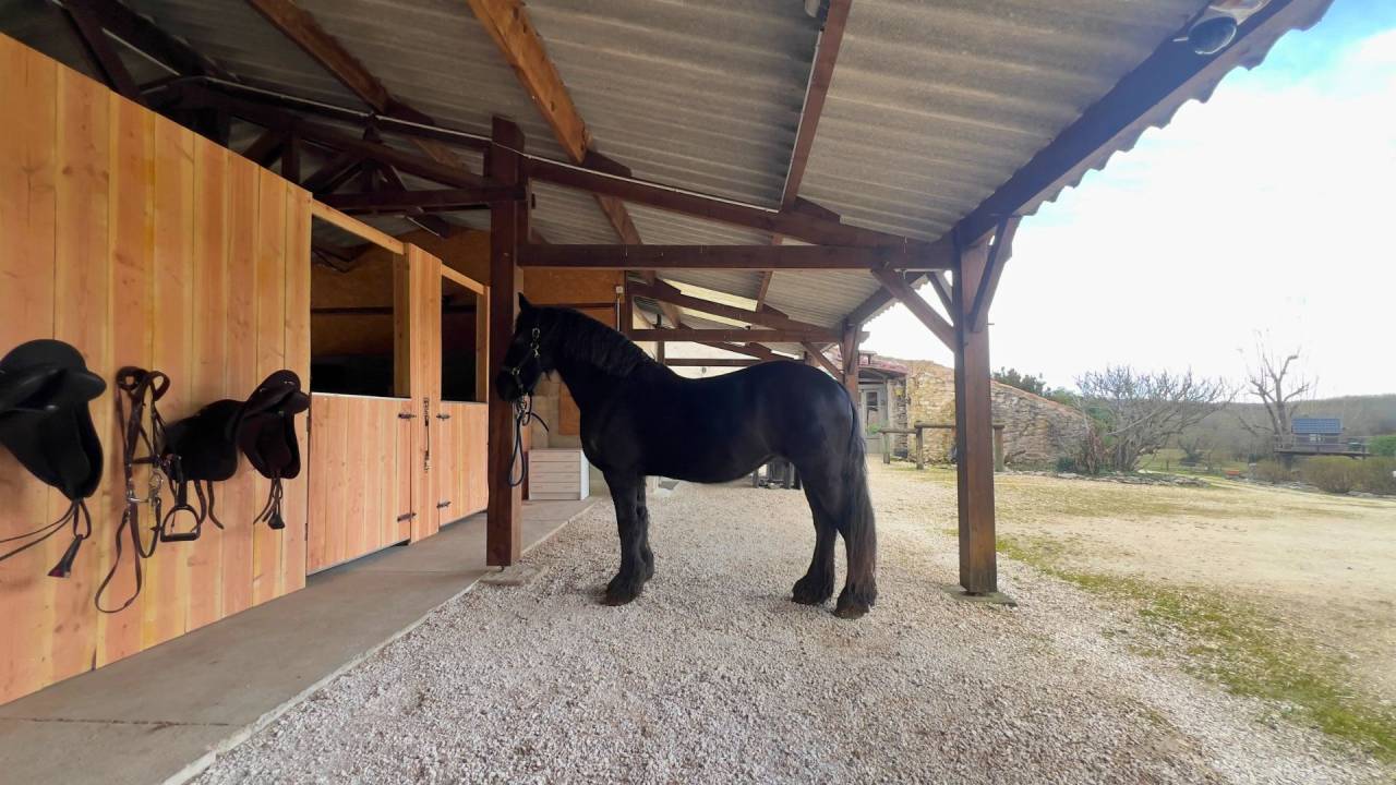 Propriet&agrave; equestre In vendita Lot-et-Garonne