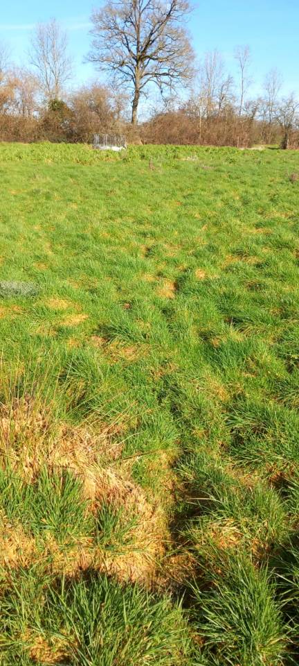 Propriet&agrave; equestre In vendita Deux-S&egrave;vres