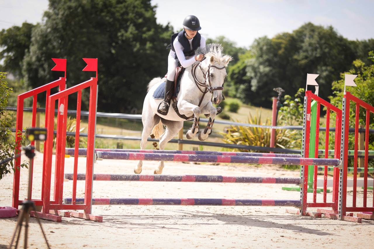 Cavalla PFS Pony Francese da Sella In vendita 2016 Grigio ,  Qredo des islots