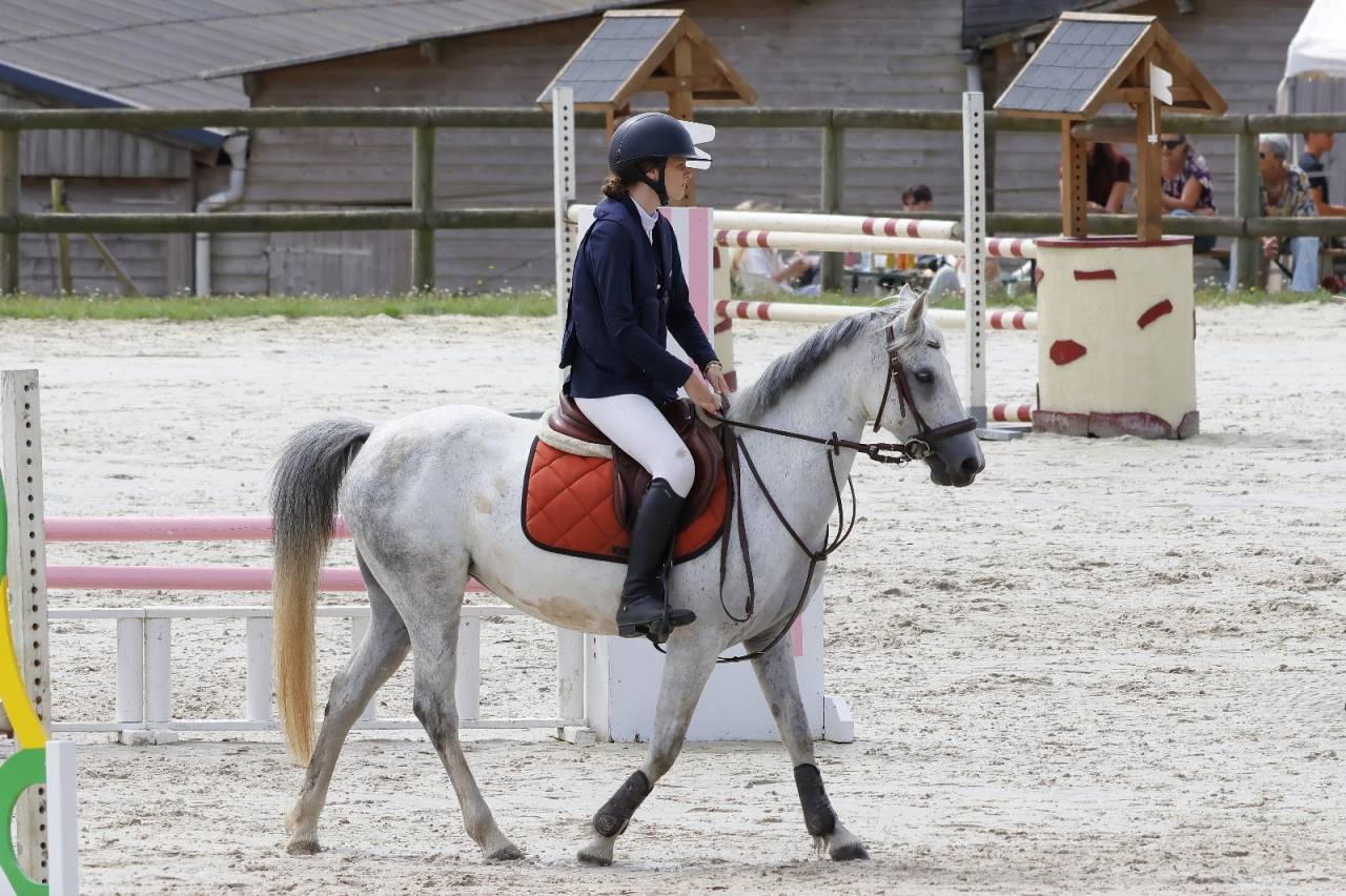 Cavalla PFS Pony Francese da Sella In vendita 2016 Grigio ,  Qredo des islots