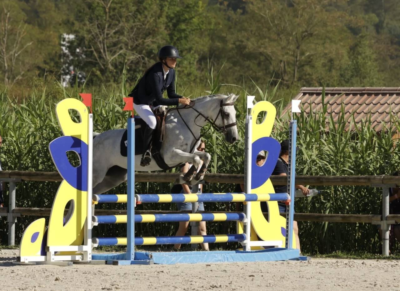 Cavalla PFS Pony Francese da Sella In vendita 2016 Grigio ,  Qredo des islots