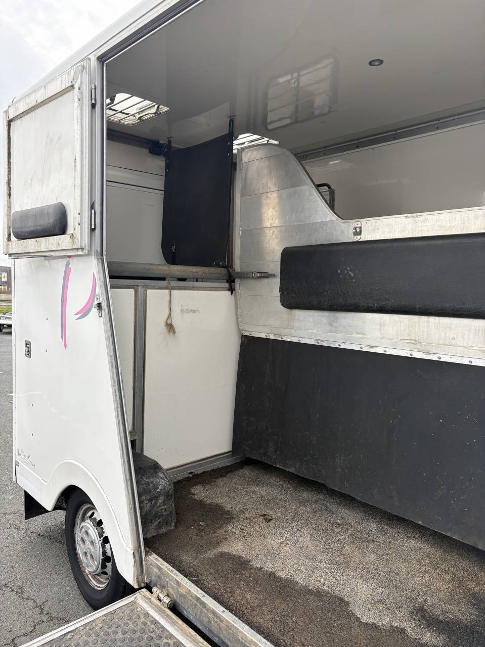 Van per Cavalli Les Vans Roussel  2008 Occasione