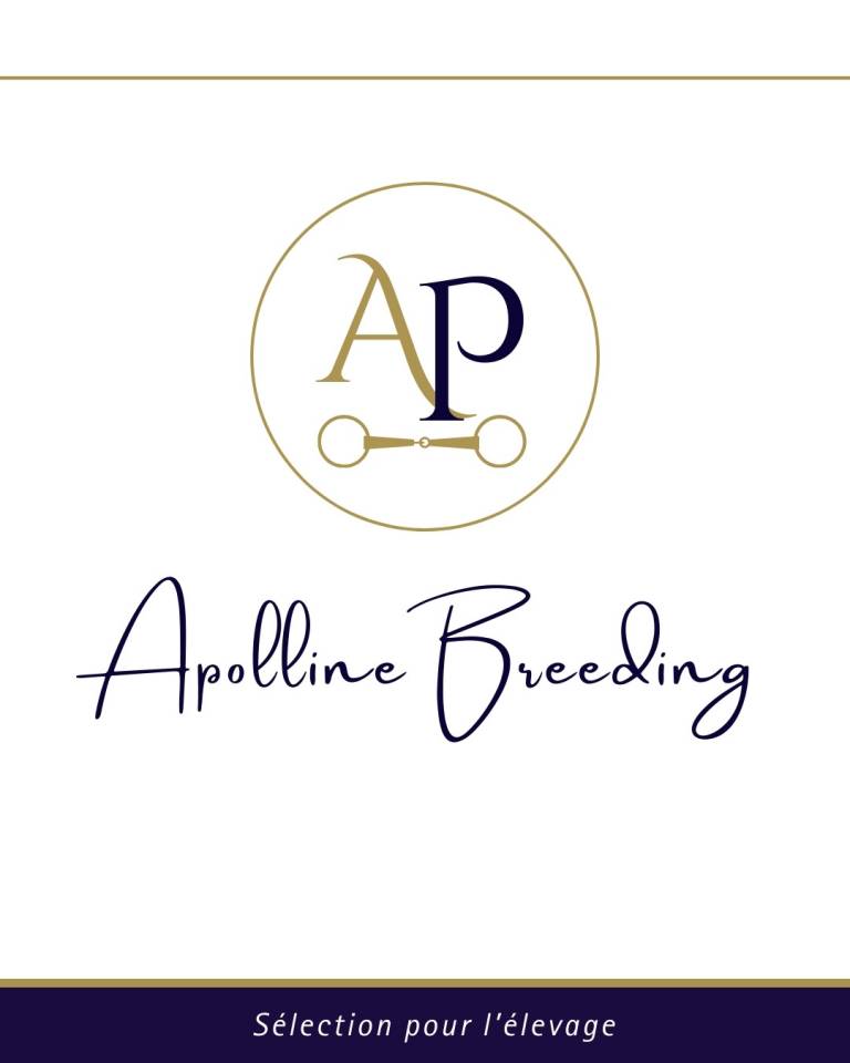 Cavalla Purosangue In vendita 2021 Baio