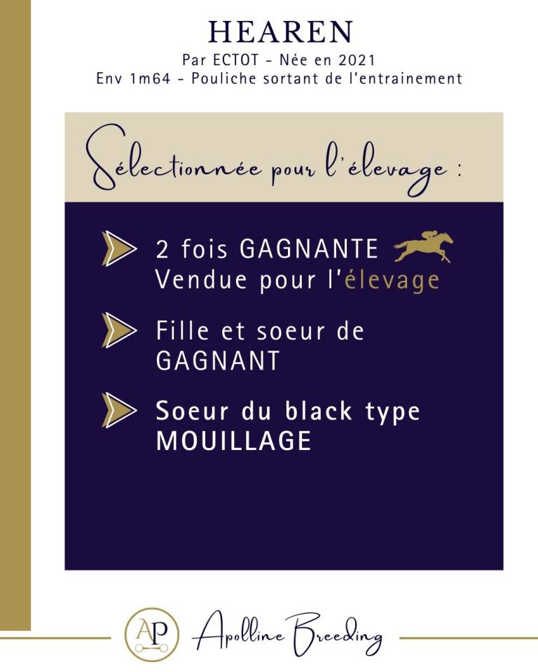 Cavalla Purosangue In vendita 2021 Baio