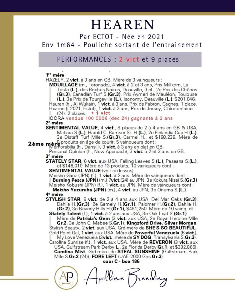 Cavalla Purosangue In vendita 2021 Baio