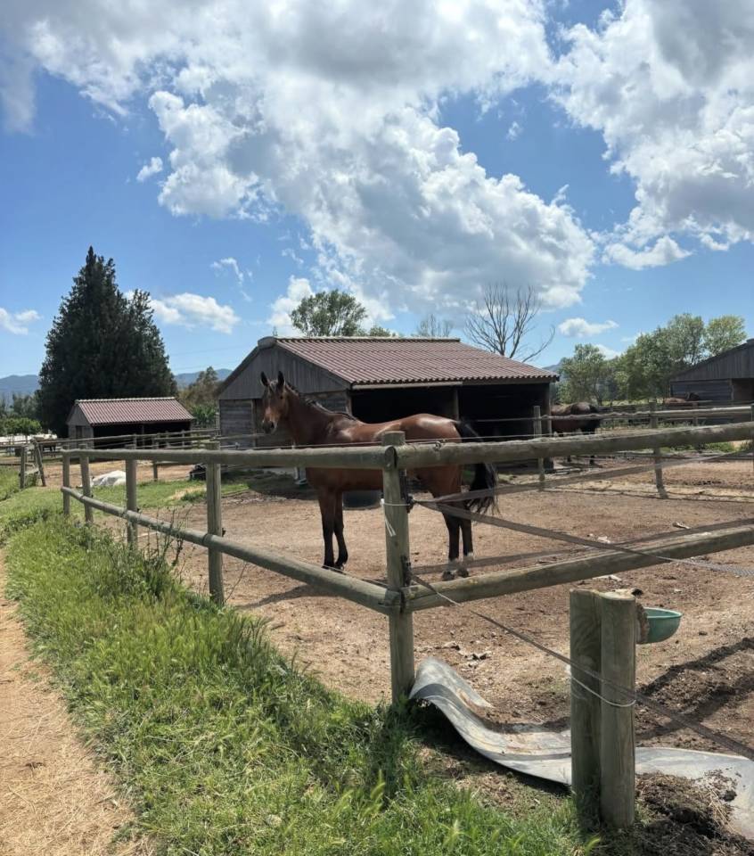 Centro ippico In vendita Var