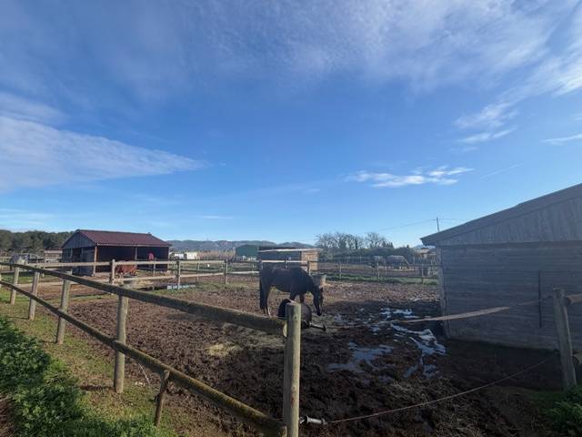 Centro ippico In vendita Var