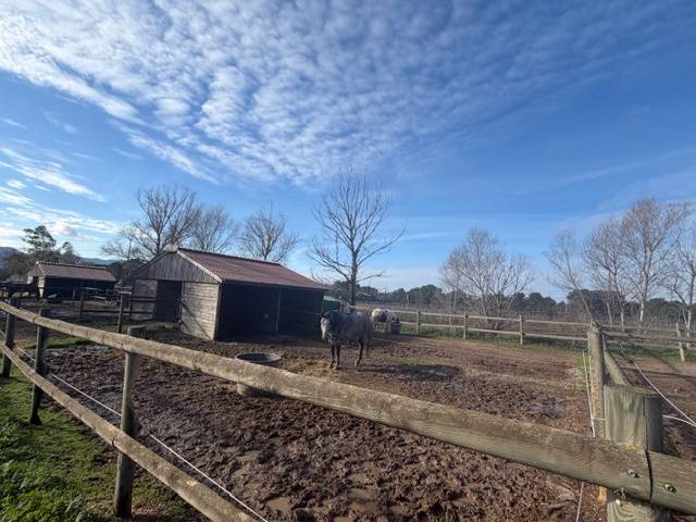 Centro ippico In vendita Var