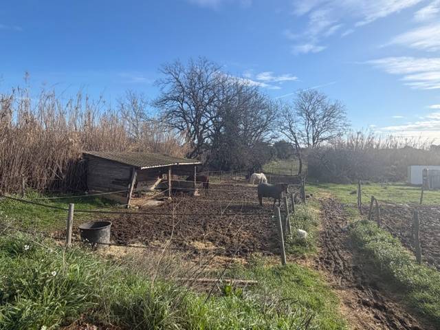 Centro ippico In vendita Var