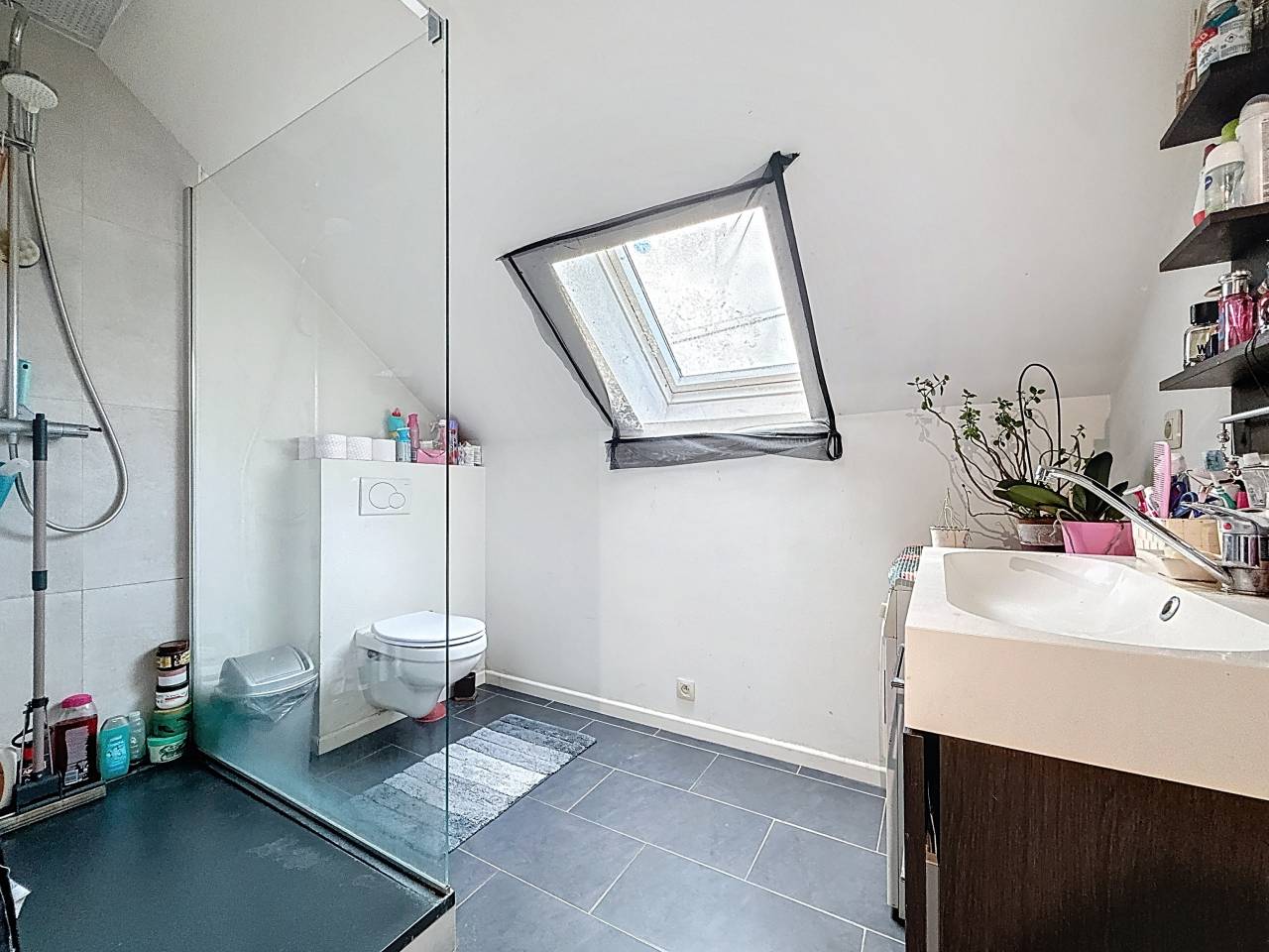 Azienda equestre In vendita Brabant-Wallon