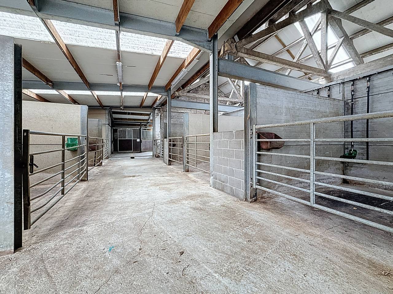 Azienda equestre In vendita Brabant-Wallon