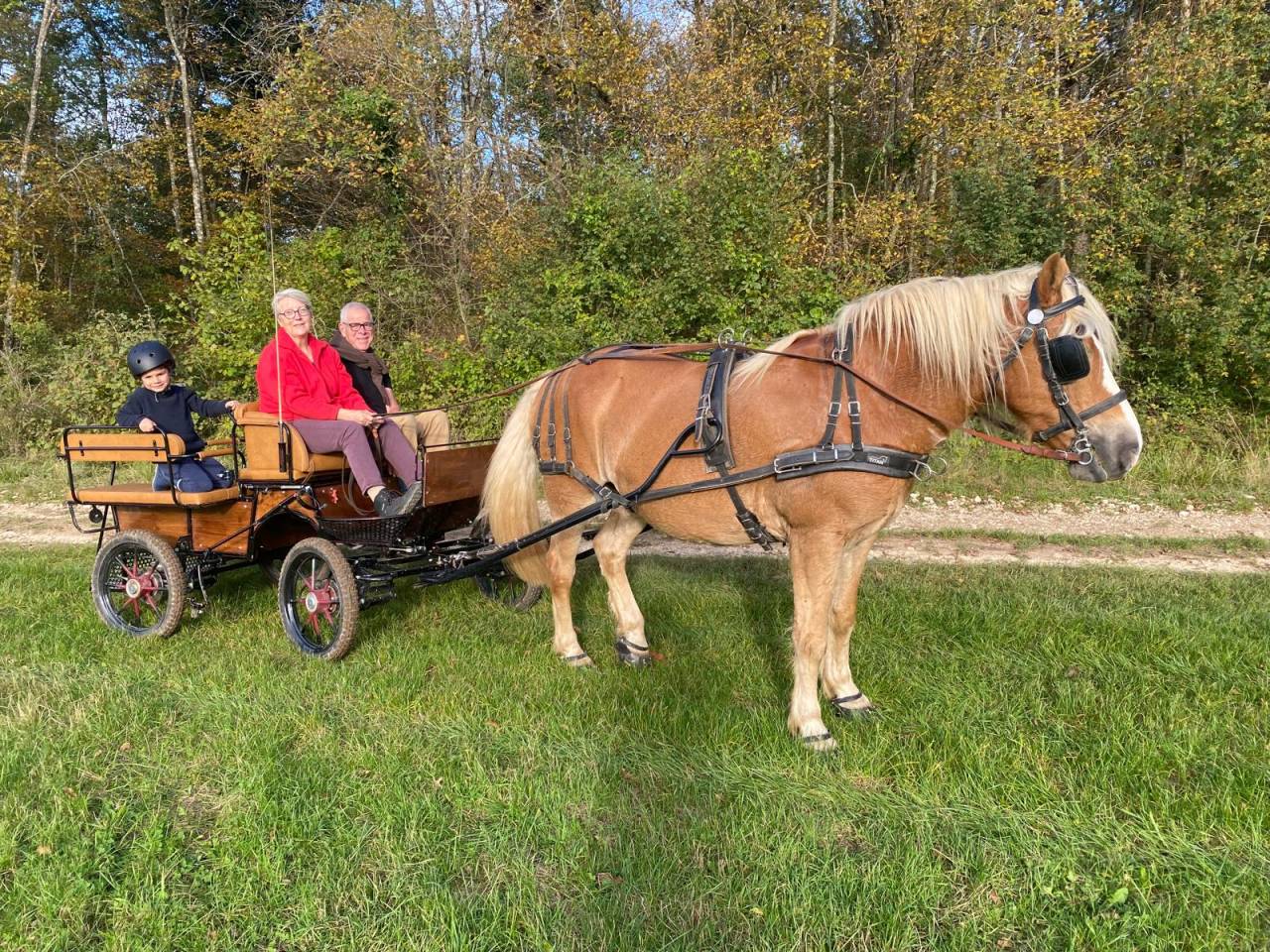 Attacchi - Calesse - Altra marca -  