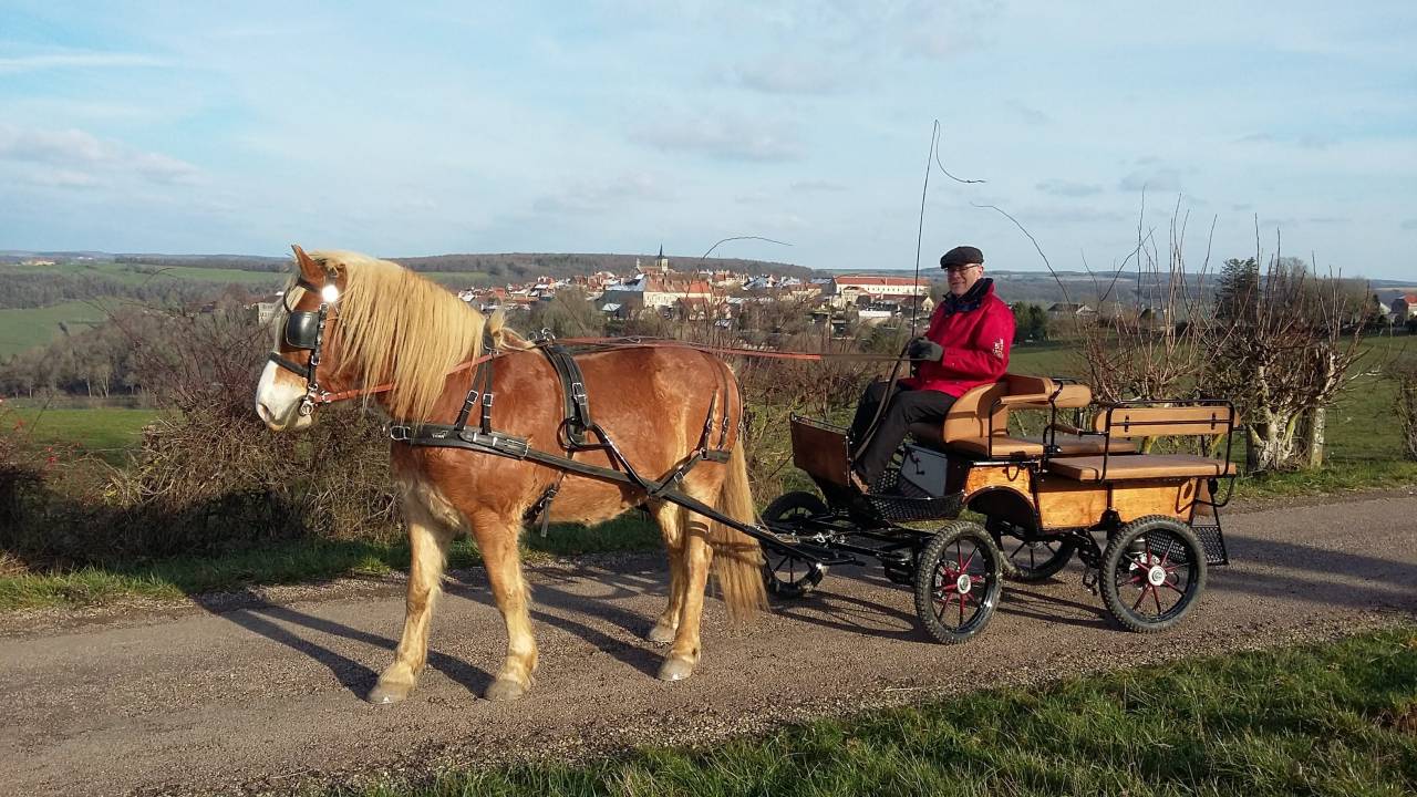 Attacchi - Calesse - Altra marca -  