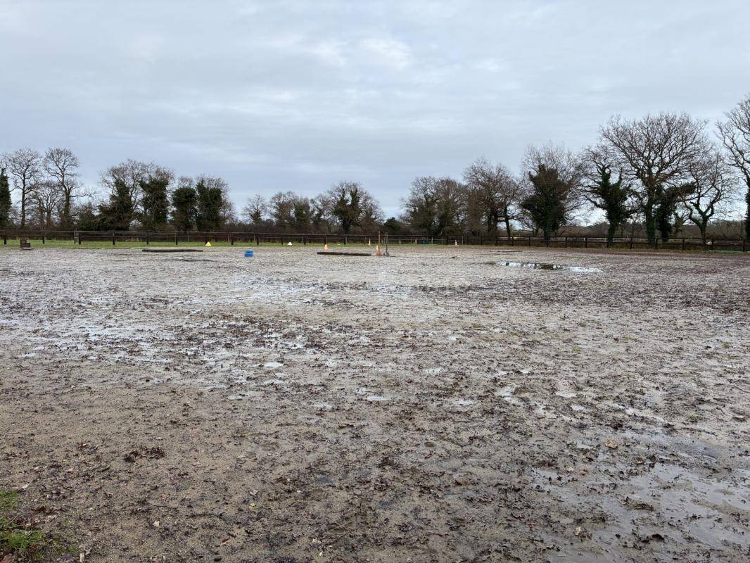 Centro di stagione cavallo In vendita Morbihan