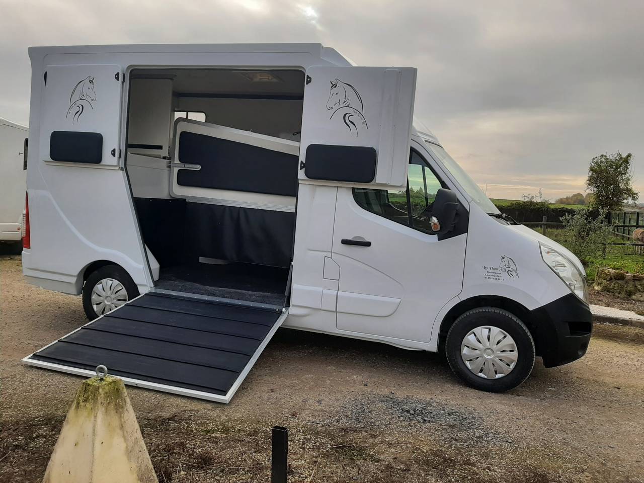 Van per Cavalli Renault Master 2019 Occasione