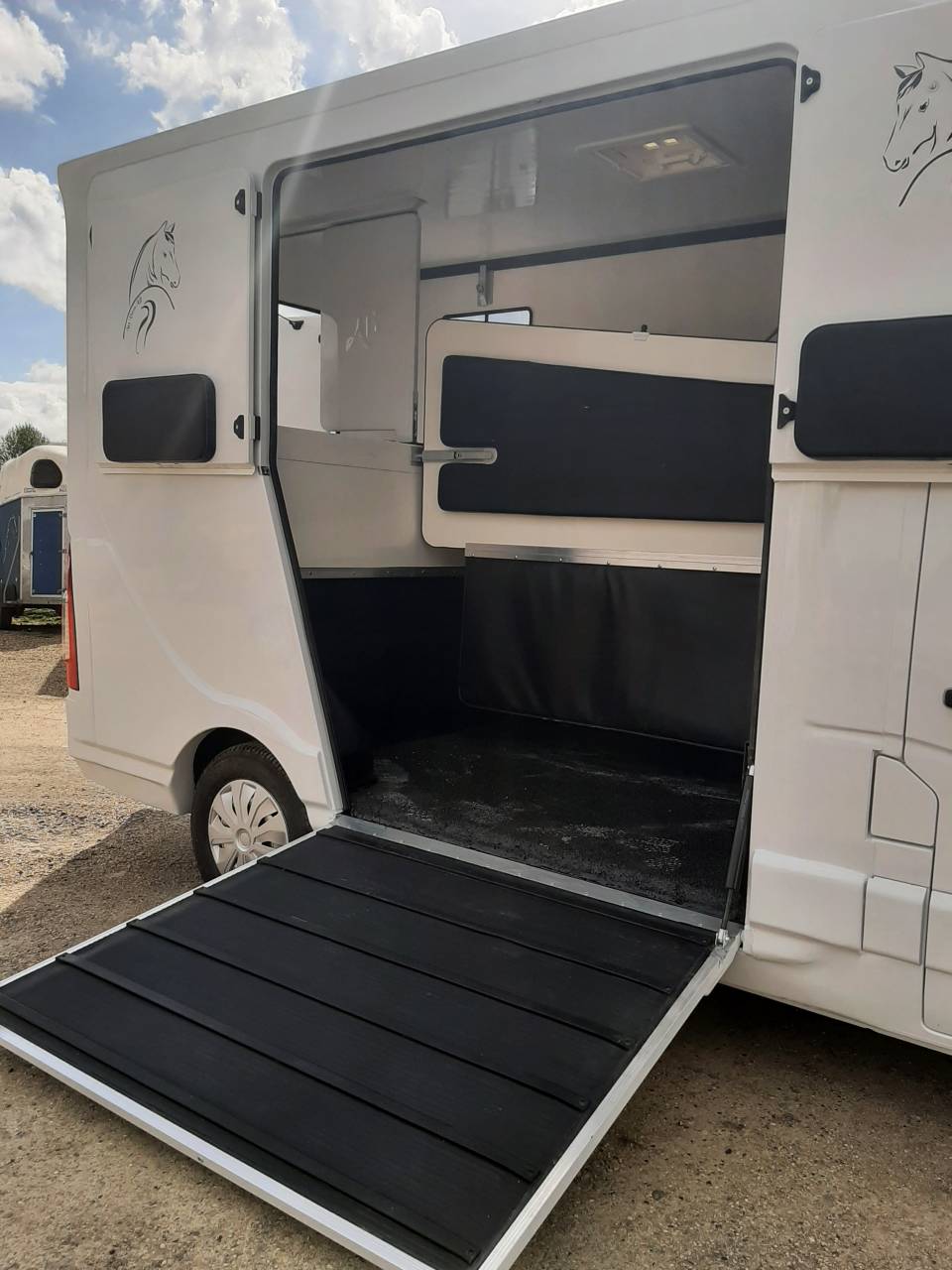 Van per Cavalli Renault Master 2018 Occasione