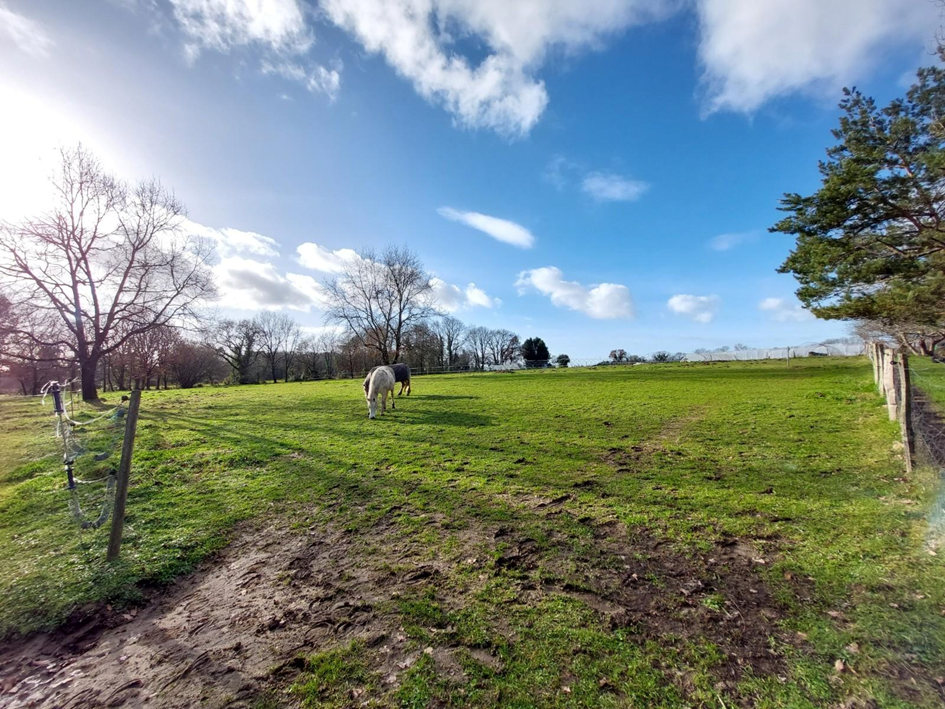 Propriet&agrave; equestre In vendita Charente-Maritime