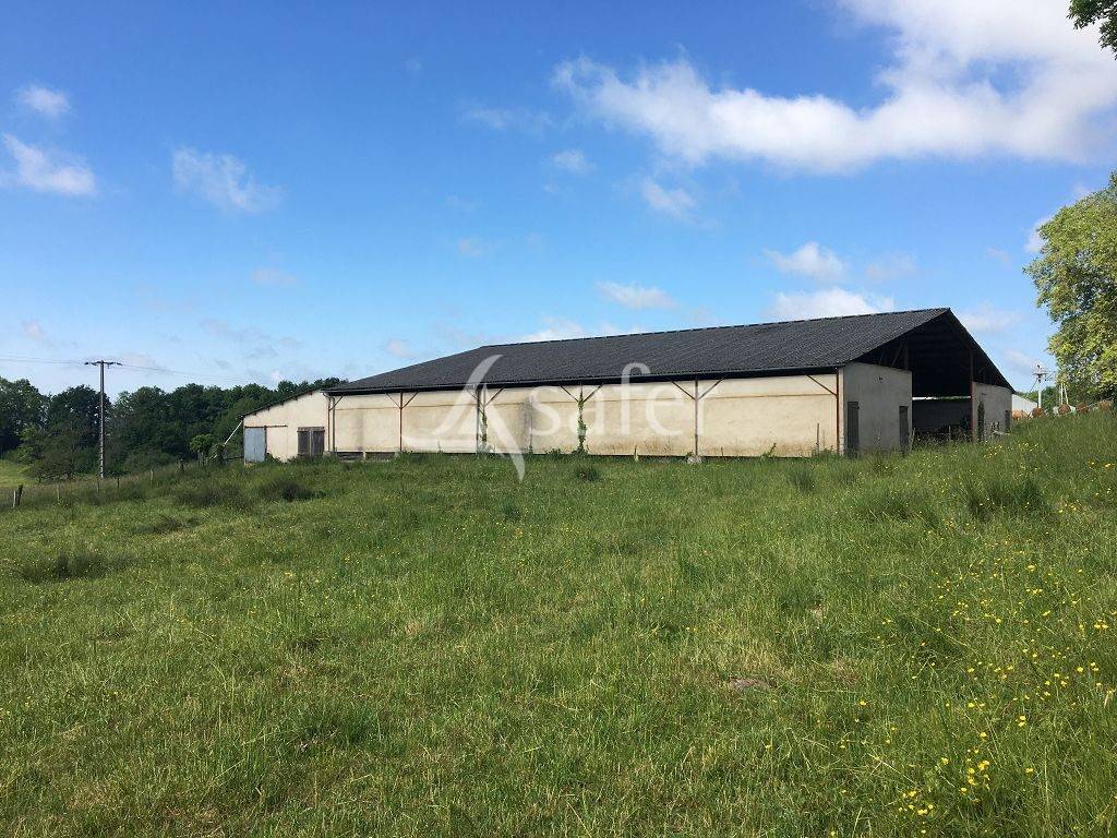 Propriet&agrave; rurale In vendita Corr&egrave;ze