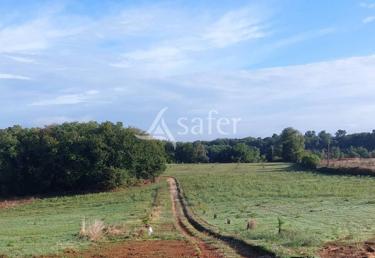 Azienda agricola In vendita Dordogne