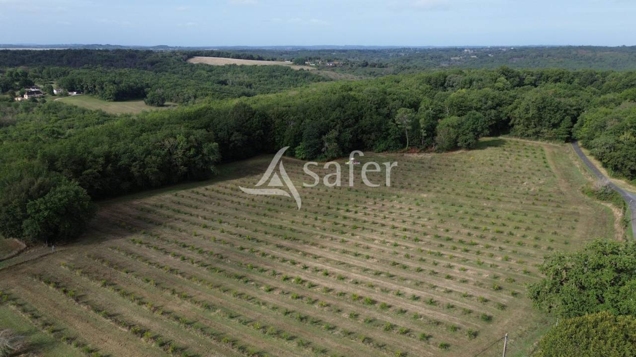 Azienda agricola In vendita Dordogne