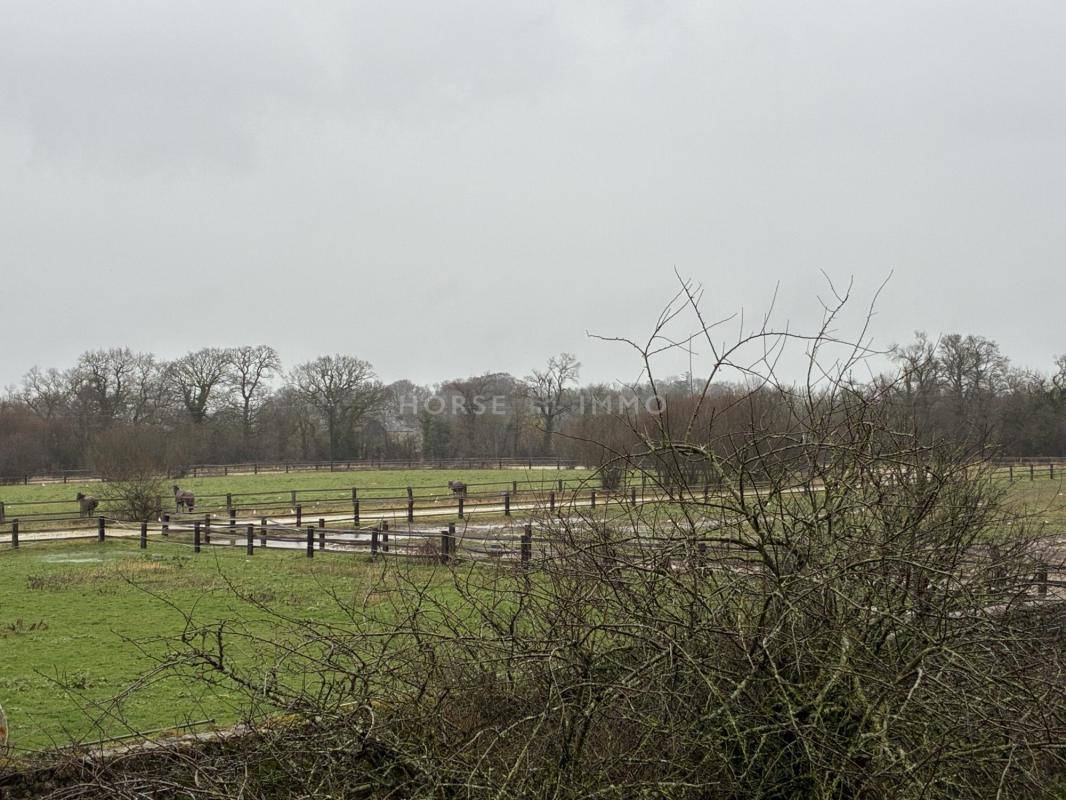 Bella dimora equestre In vendita Manche
