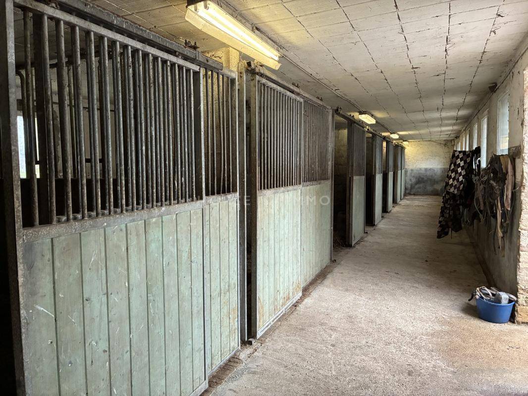 Bella dimora equestre In vendita Manche