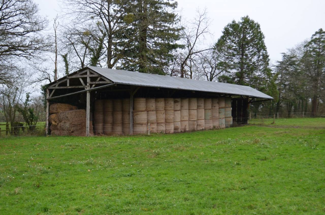 Propriet&agrave; equestre In vendita Mayenne