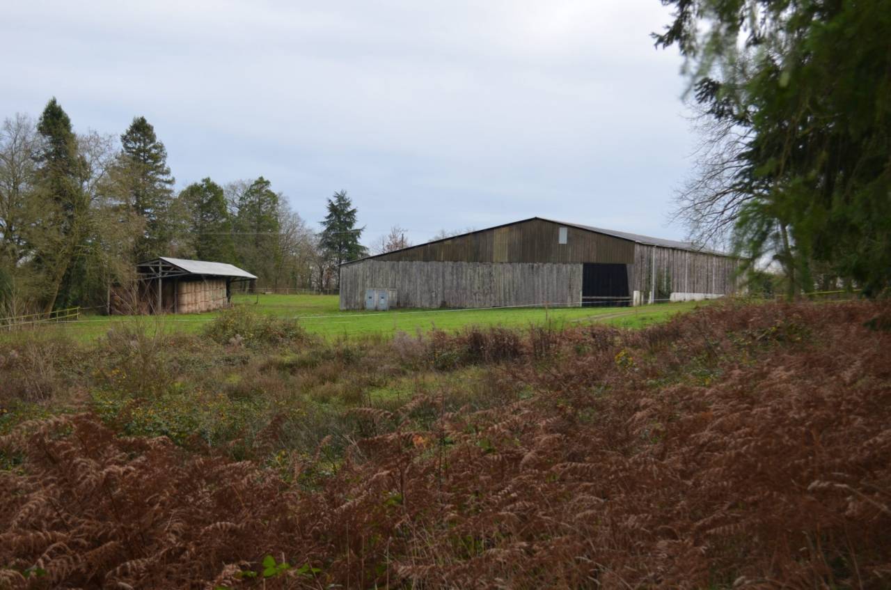 Propriet&agrave; equestre In vendita Mayenne