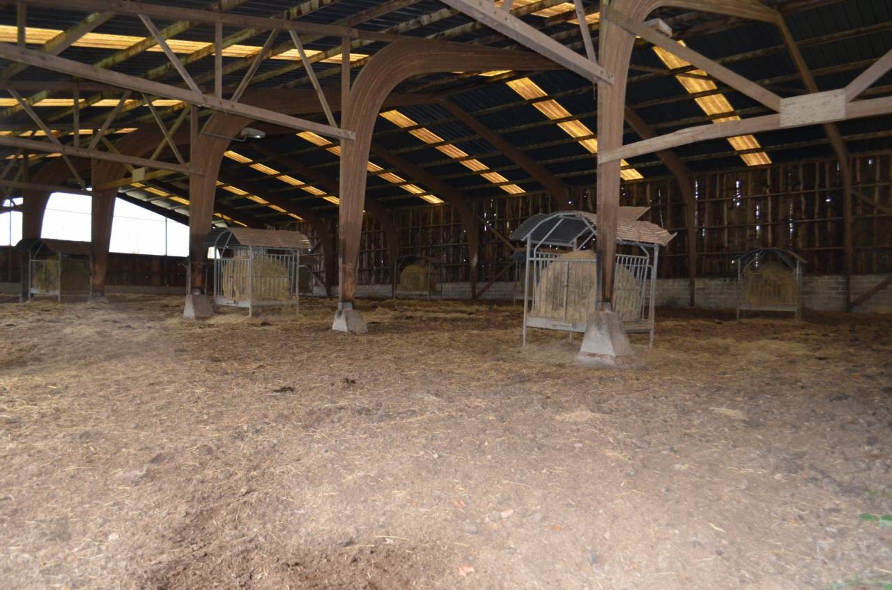 Propriet&agrave; equestre In vendita Mayenne