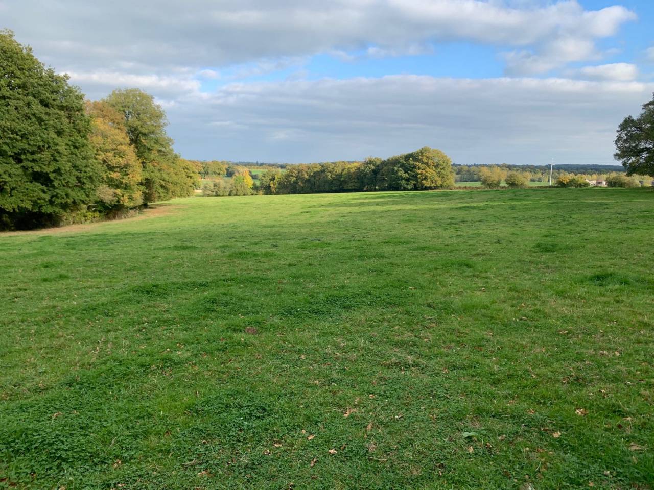 Propriet&agrave; equestre In vendita Mayenne