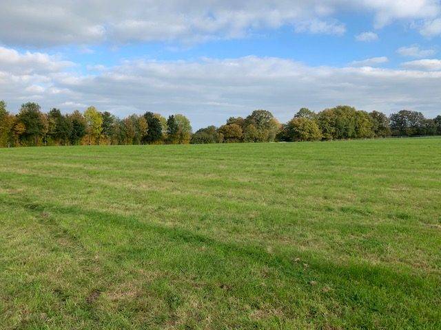 Propriet&agrave; equestre In vendita Mayenne