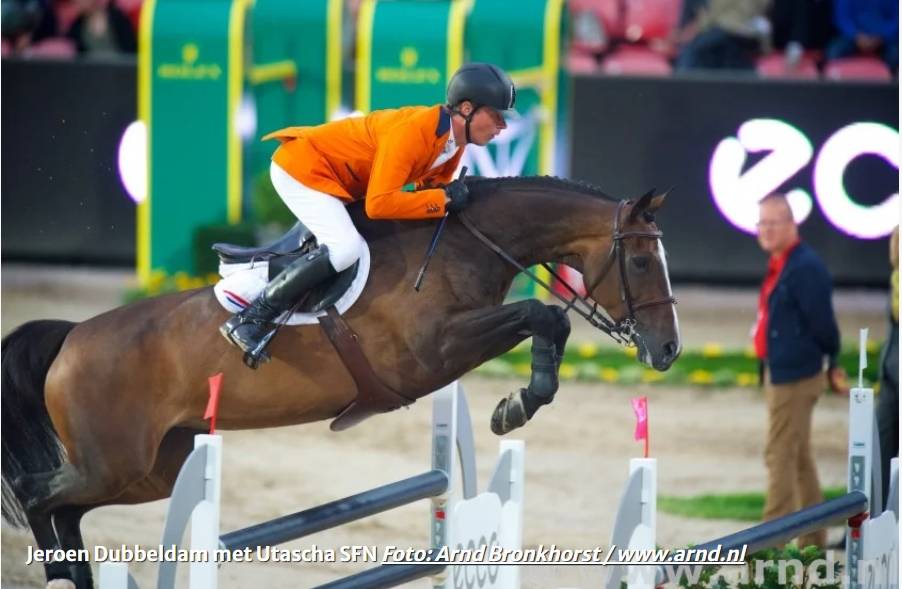 Fattrice KWPN Cavallo da Sport Neerlandese In vendita 2010 Grigio