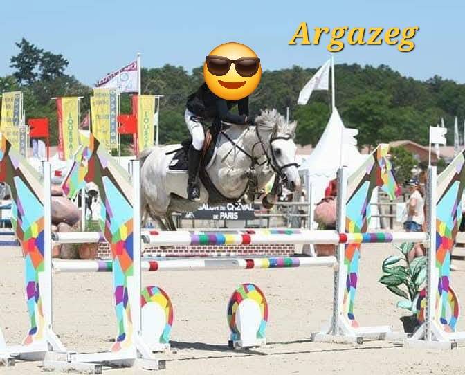 Puledro Connemara In vendita 2025 Crema ,  CASTLE NERO