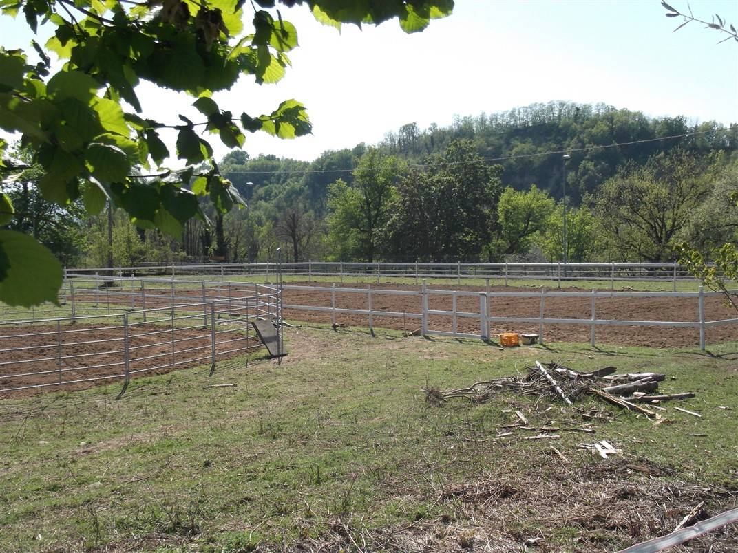 Privato affitta piccolo centro equestre familiare