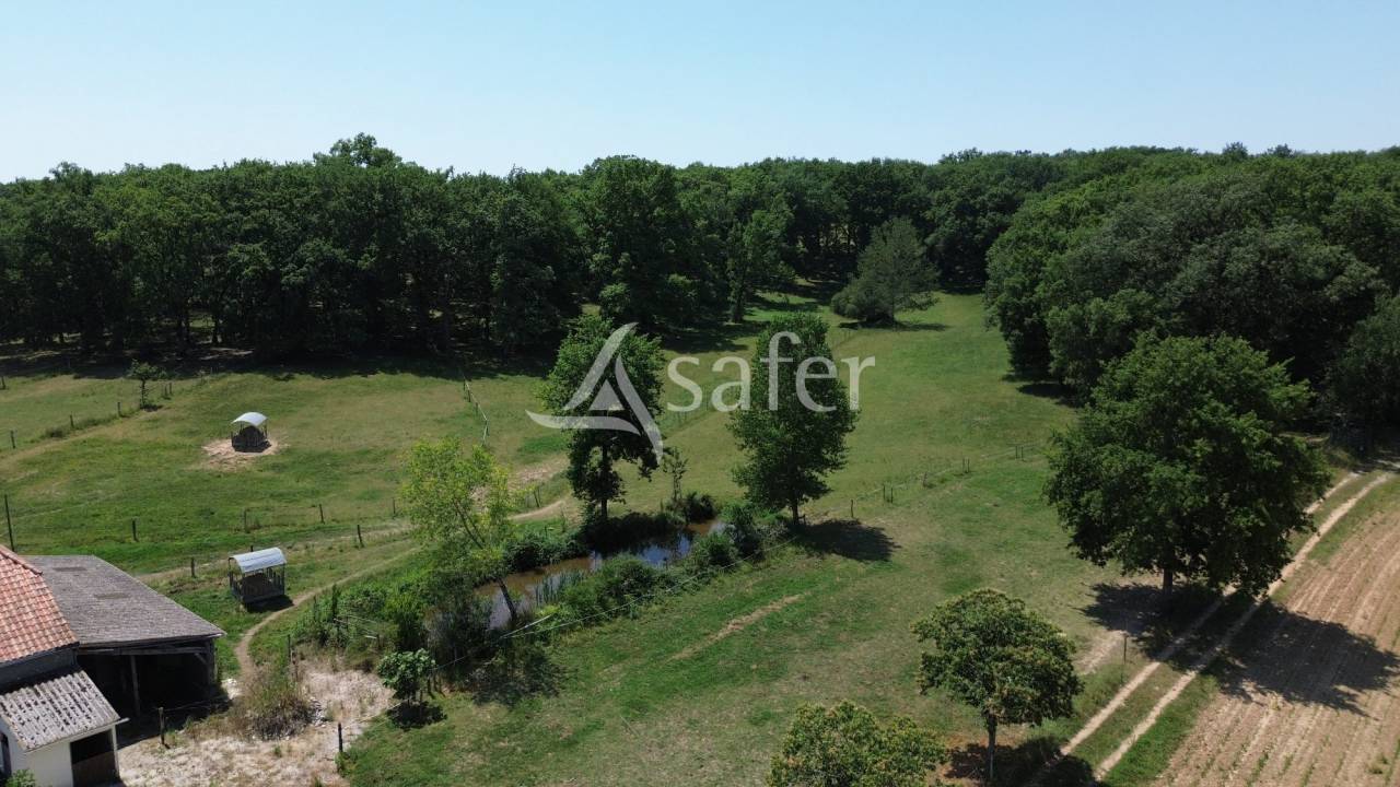 Azienda agricola In vendita Lot-et-Garonne