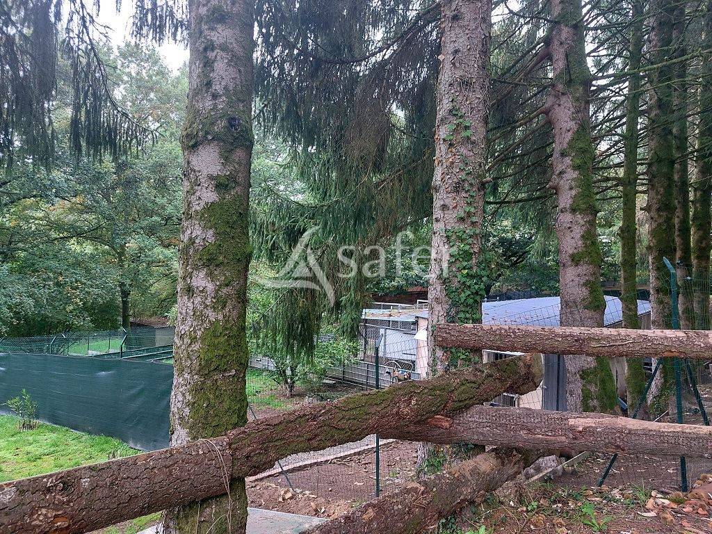 Propriet&agrave; rurale In vendita Haute-Vienne