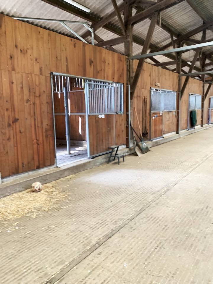 Propriet&agrave; equestre In vendita Sarthe