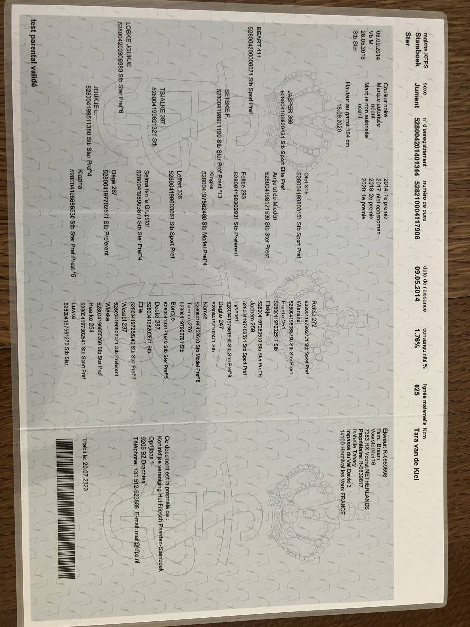 Fattrice Frisone In vendita 2014 Nero ,  BEART 411