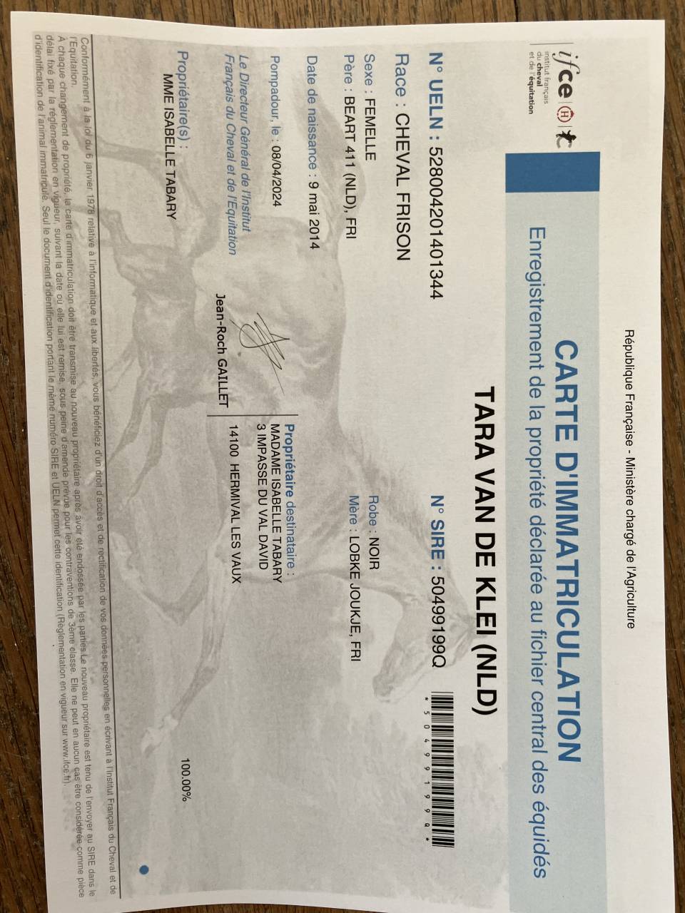 Fattrice Frisone In vendita 2014 Nero ,  BEART 411