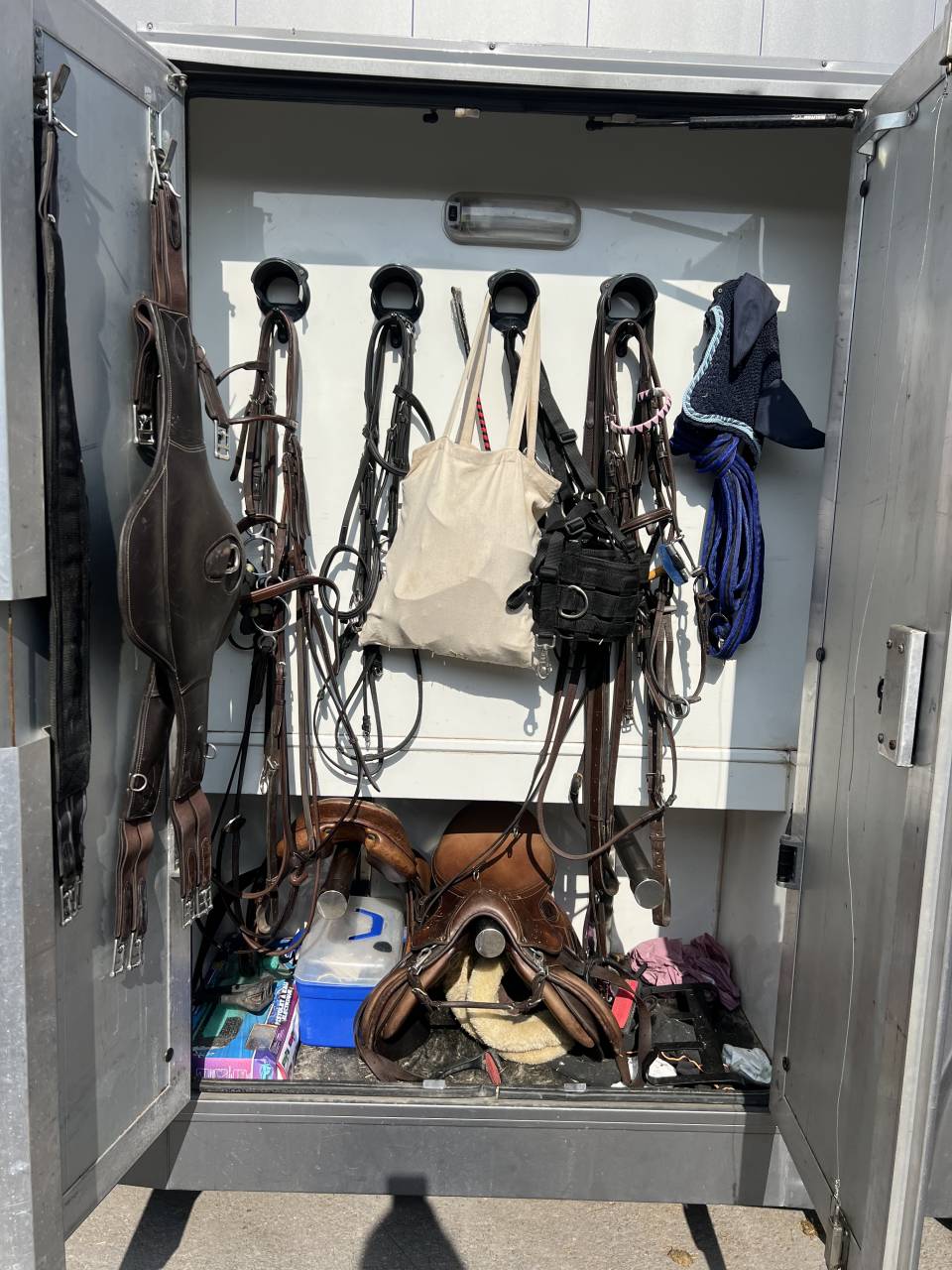 Camion per Cavalli Mercedes Atego 2004 Occasione