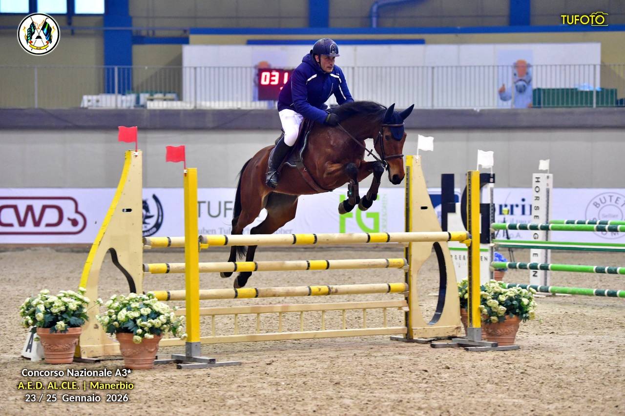 Cavalla salto ostacoli categorie 1 grado 