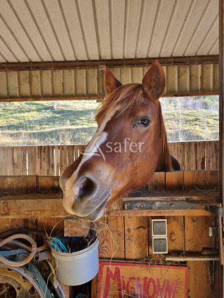 Propriet&agrave; rurale In vendita Aude