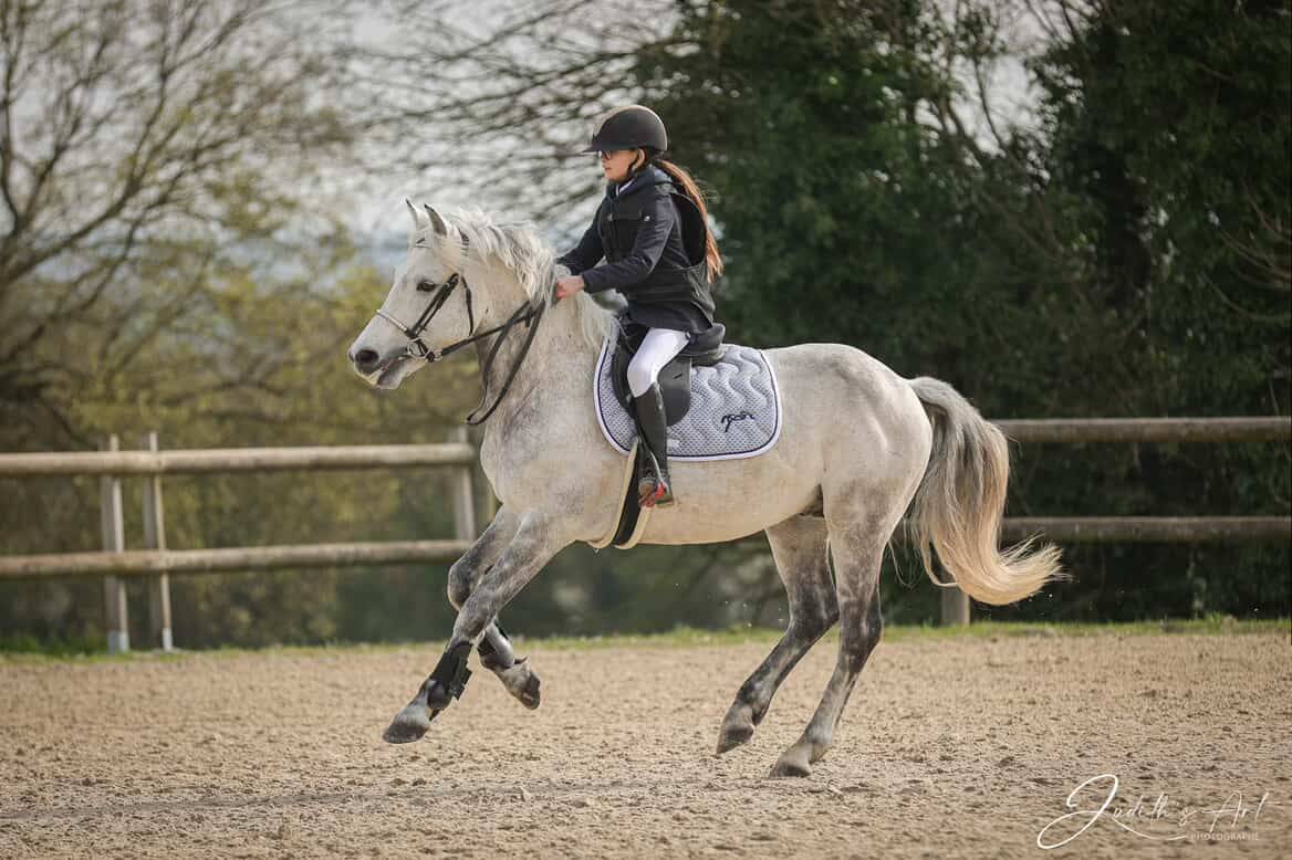 Voyage d'Arquetan - PFS Pony Francese da Sella 2009 ,  Gribouille Villaud