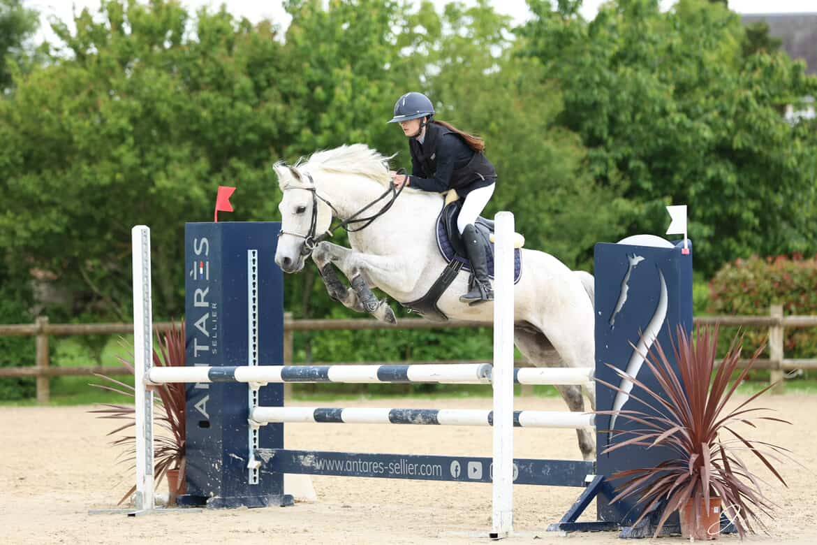 Voyage d'Arquetan - PFS Pony Francese da Sella 2009 ,  Gribouille Villaud