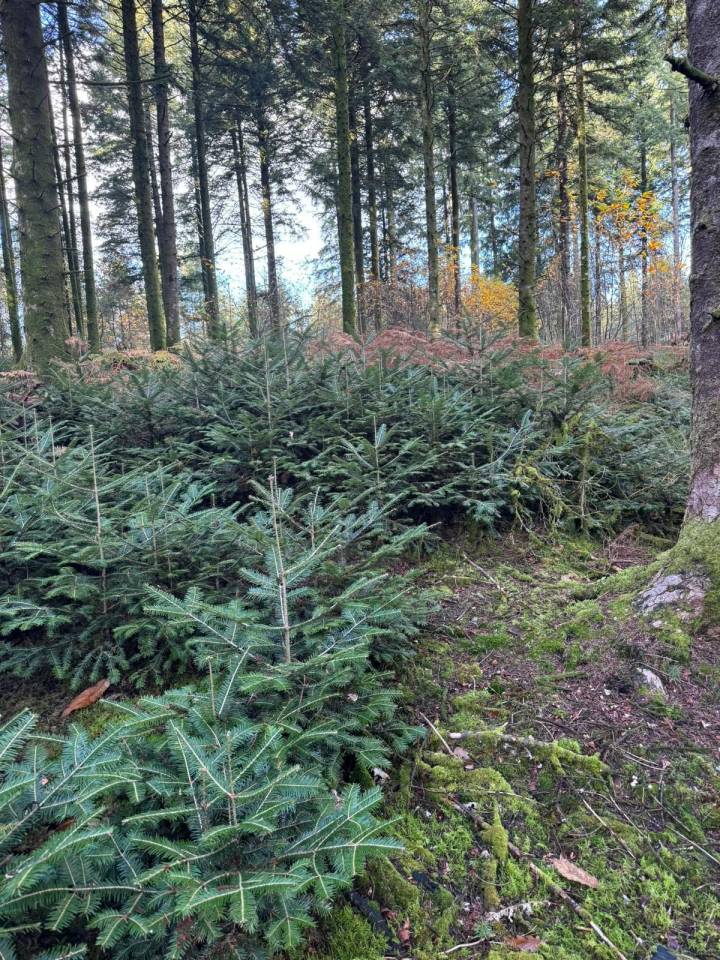 Propriet&agrave; equestre In vendita Haute-Vienne