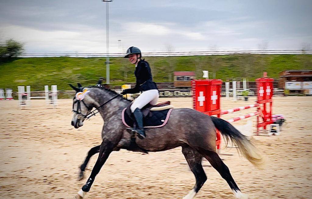 Cavalla PFS Pony Francese da Sella In vendita 2016 Grigio ,  MOVIE STAR TILIA